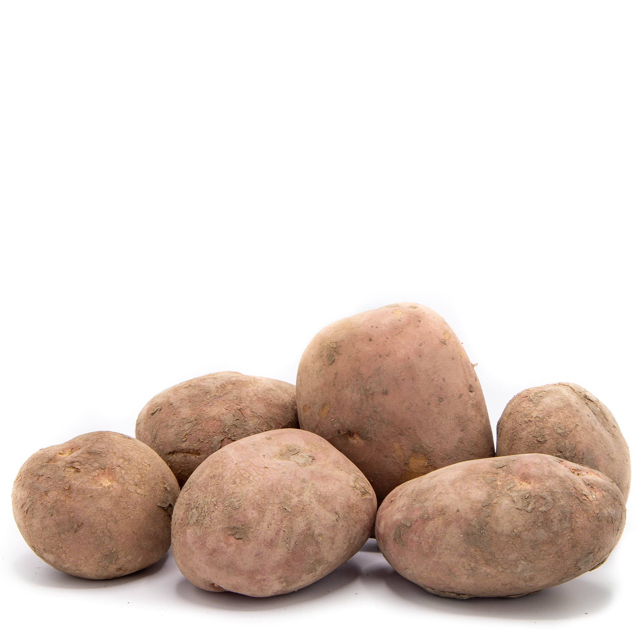 Aardappels Bildstar