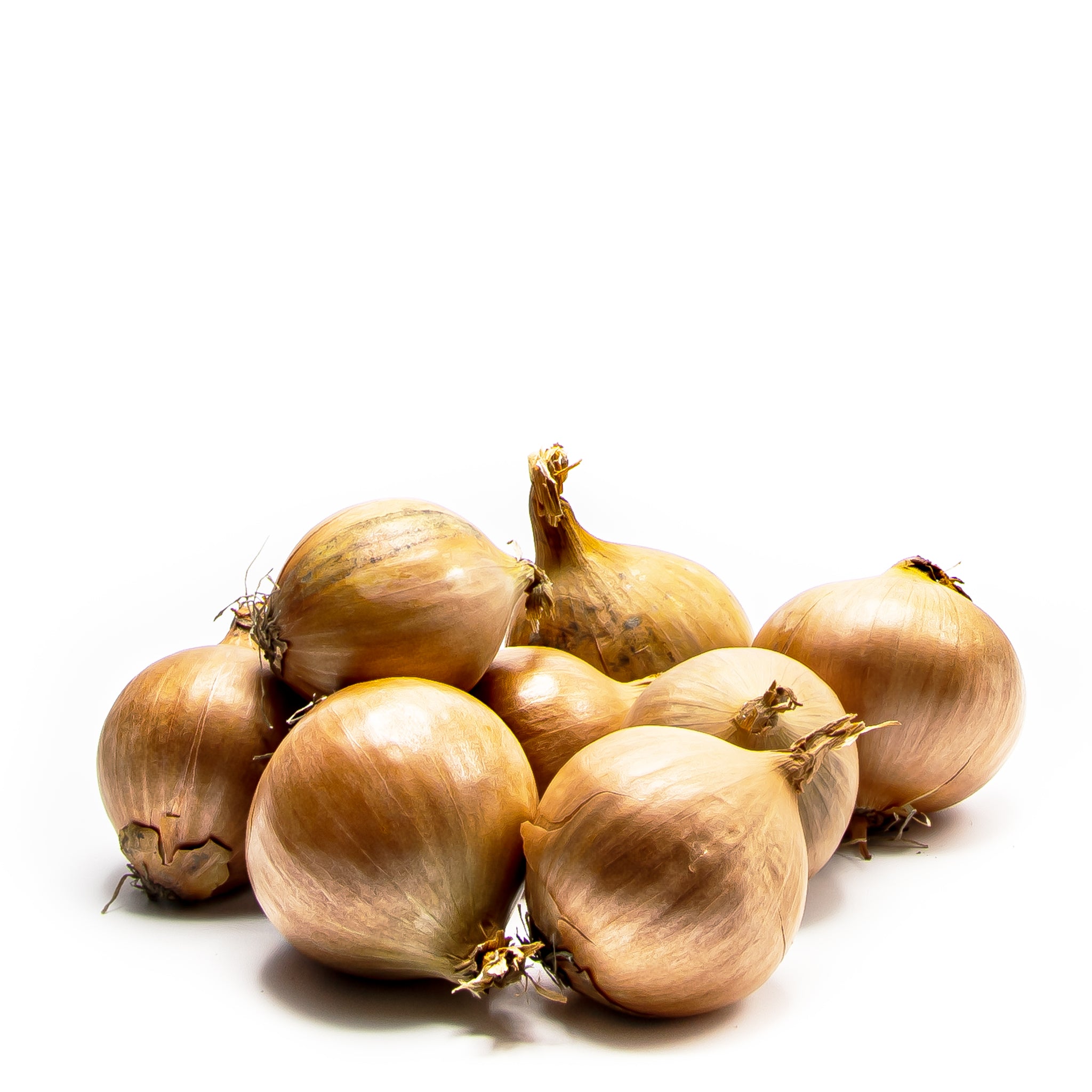 Uien Sorten Uien (2,5 kilo) – ThuisFruit